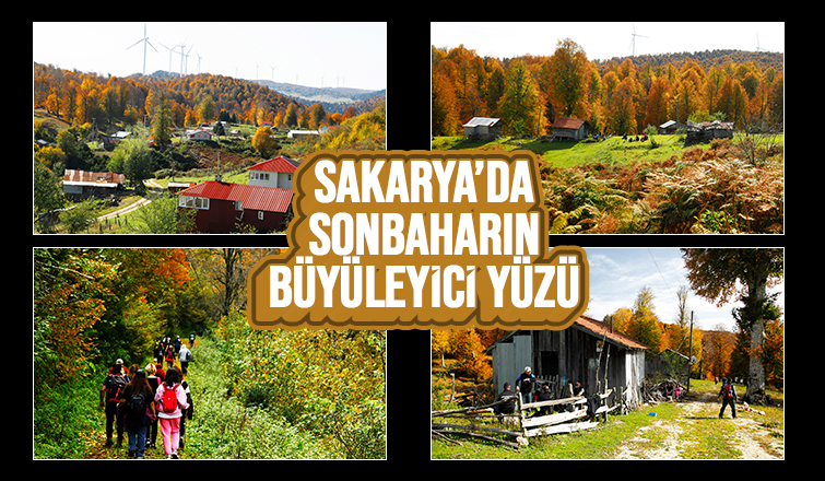 Sonbaharın büyüleyici yüzü