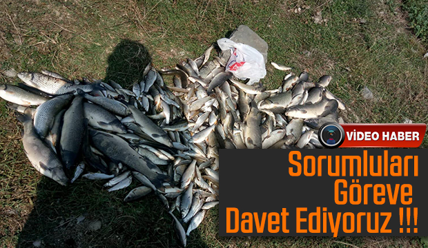 Sorumluları göreve davet ediyoruz