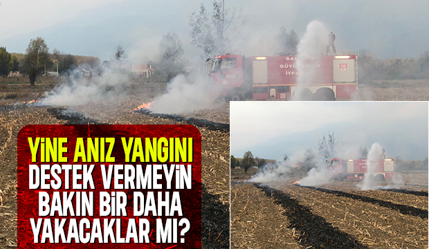Sorumsuz çiftçi anız yaktı
