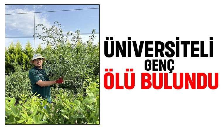 Staj yapıyordu: Üniversiteli genç ölü bulundu