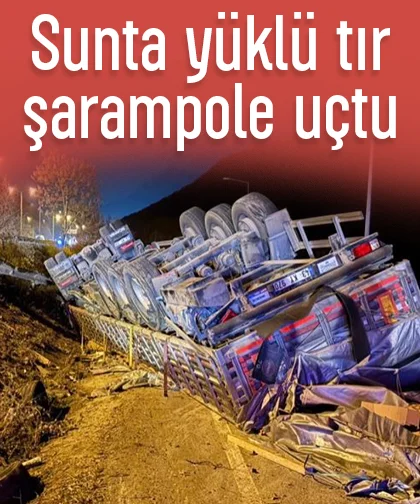 Sunta yüklü tır şarampole uçtu
