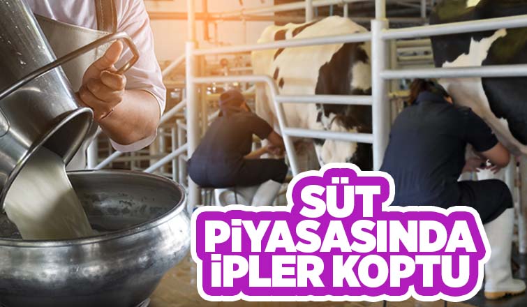 Süt piyasasında kriz