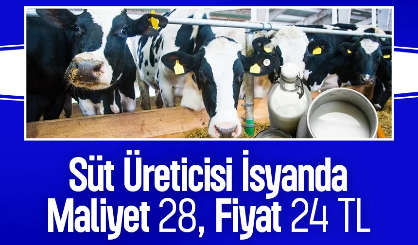 Süt üreticisinden açıklanan fiyata sert tepki