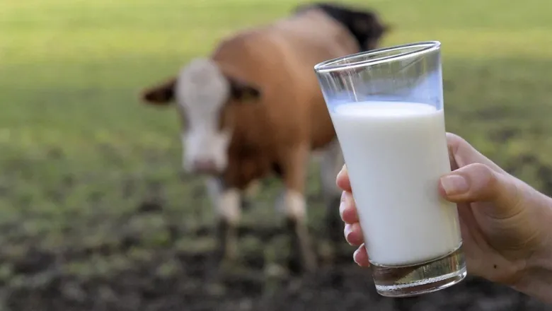 Sütte maliyet 24 lira, fiyat 16 lira