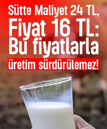 Sütte maliyet 24 lira, fiyat 16 lira