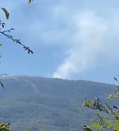 Susuz Yaylası'nda orman yangını çıktı