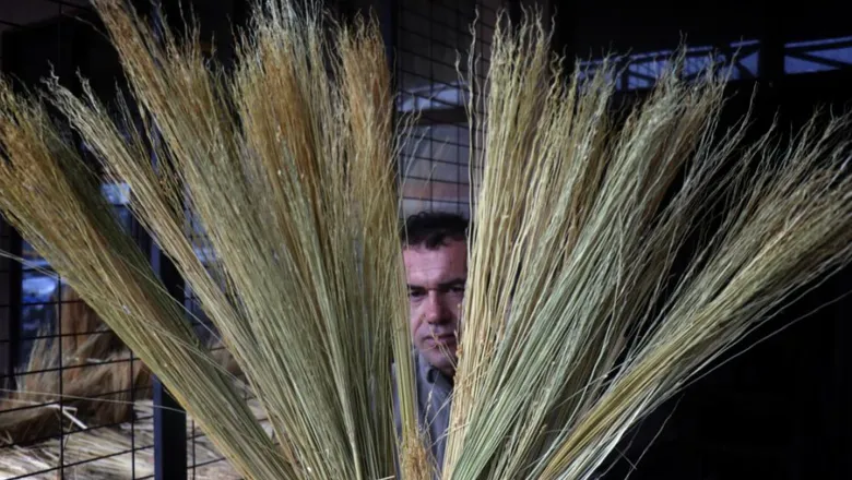 Tanesi 150 lira; Teknolojiye direniyor