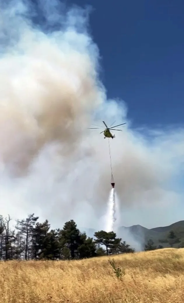 Taraklı'da alevlerin tehdit ettiği köy boşaltılıyor