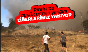 Taraklı'da büyük orman yangını