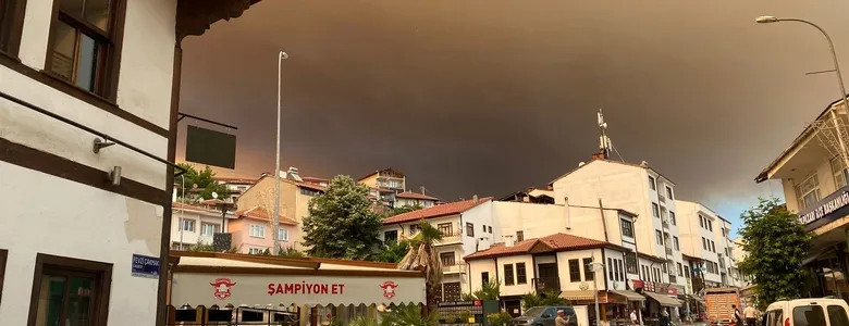 Taraklı'da çıkan orman yangını Bilecik'e sıçradı; Köyler tahliye ediliyor