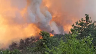 Taraklı'da çıkan orman yangını Bilecik'e sıçradı; Köyler tahliye ediliyor
