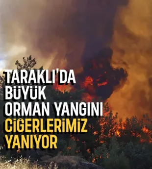 Taraklı'da orman yangını