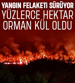 Taraklı'da yüzlerce hektar orman yandı