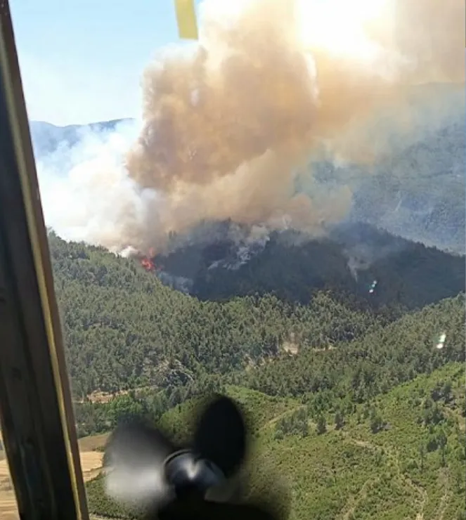 Taraklı'daki orman yangınında son durum