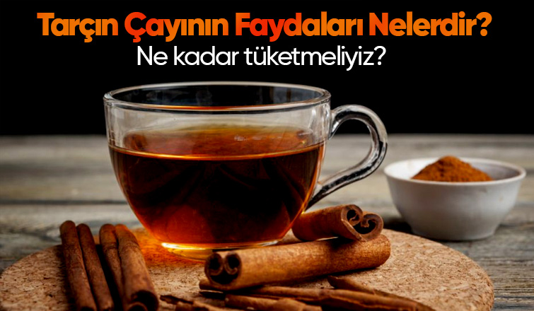 Tarçın Çayının Faydaları Nelerdir? Ne kadar tüketmeliyiz? 
