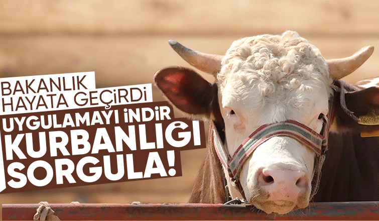 Tarım Cebimde uygulaması ile kurbanlık sorgulaması