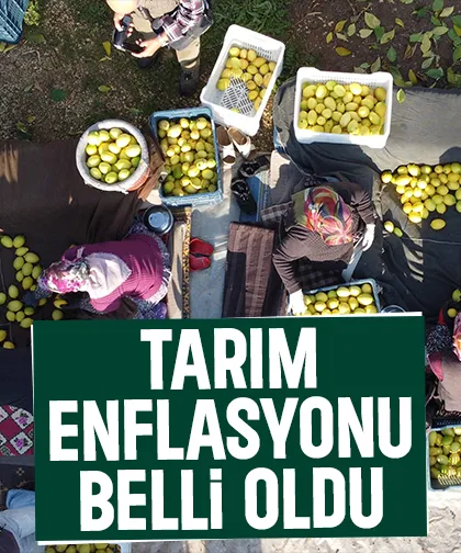 Tarım-ÜFE arttı