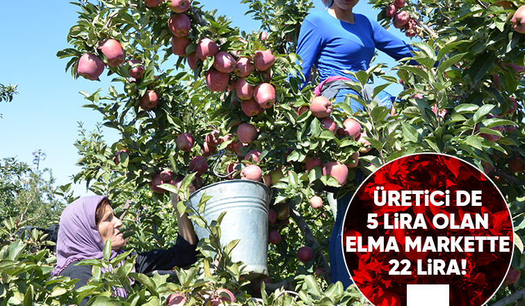 Tarla ile market arasındaki fiyat farklarını değerlendirdi