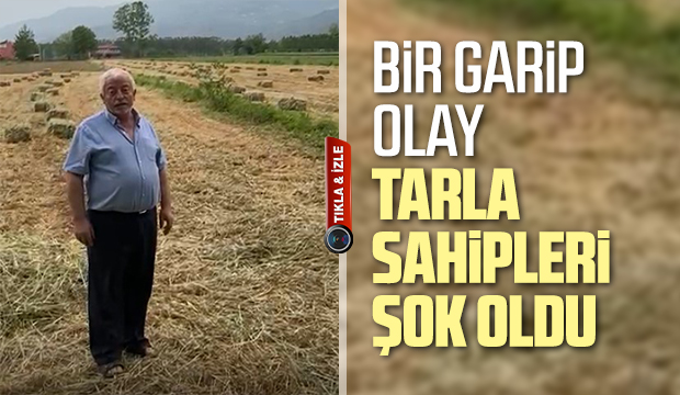 Tarla sahiplerini şok eden olay
