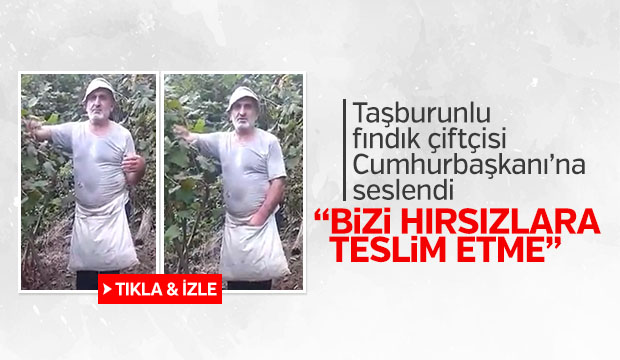 Taşburunlu Fındık Çiftçisi Cumhurbaşkanına Sesledi