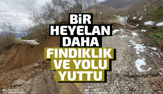 Taşyatak'ta heyelan