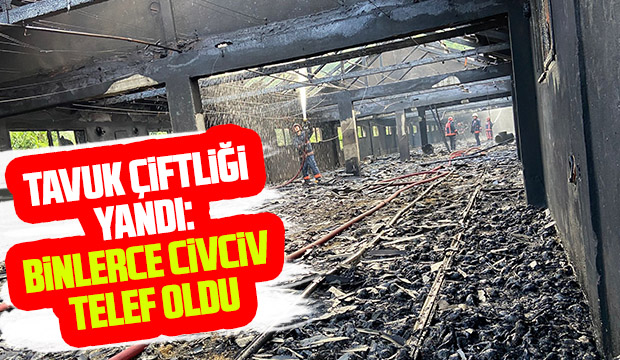 Tavuk çiftliği yandı