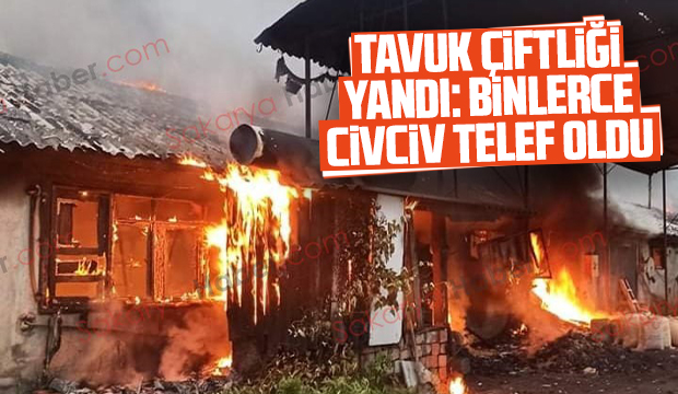 Tavuk çiftliği yandı