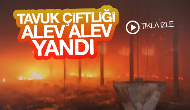 Tavuk çiftliğinde yangın