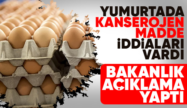 Tayvan'a ihraç edilen yumurtalara ilişkin iddialara inceleme