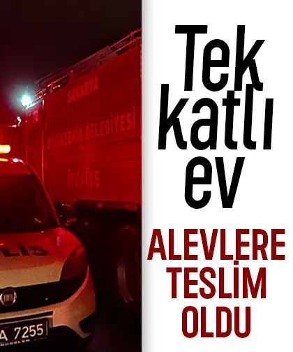 Tek katlı ev alevlere teslim oldu