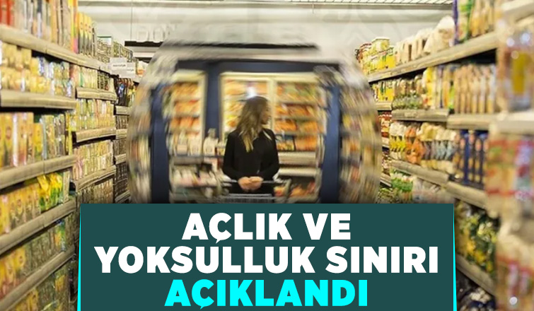 Tek kişinin yoksulluk sınırı 26 bin lirayı aştı