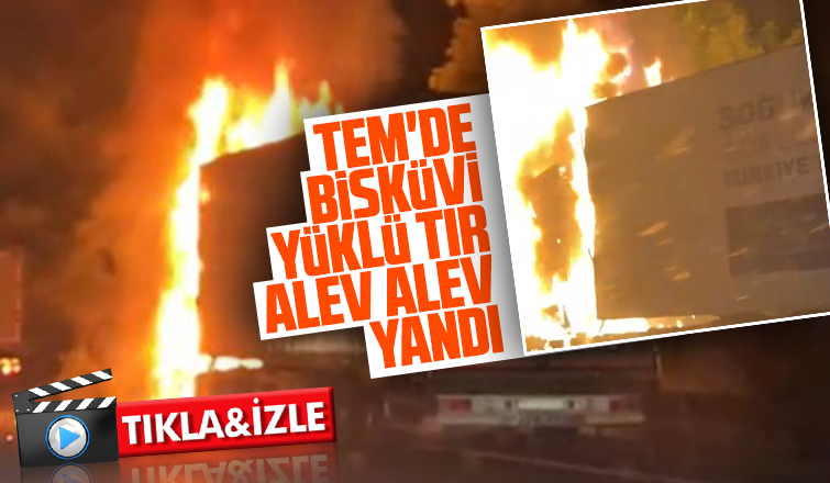 TEM'de bisküvi yüklü tır yandı