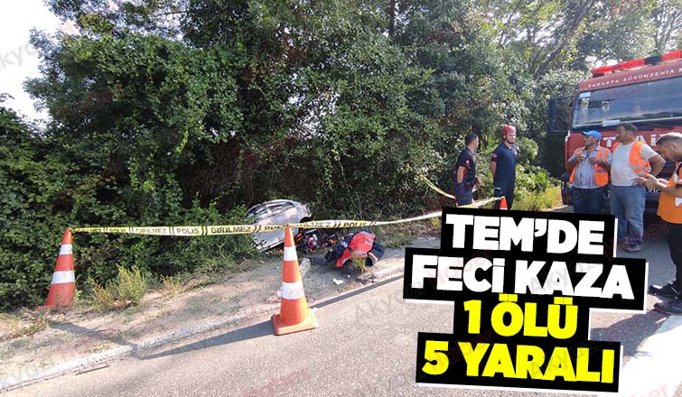 TEM'de kaza:1 ölü, 5 yaralı