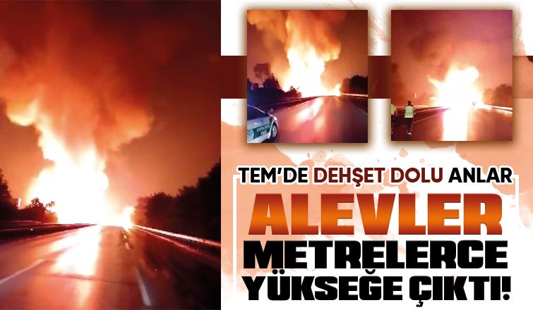 TEM'i kapatan yangın