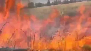 TEM kavşağı yakınında çıkan yangın korkuttu