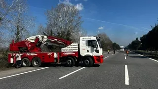 TEM’de kurbanlık taşıyan tır şarampole uçtu