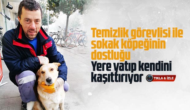Temizlik görevlisi ile sokak köpeğinin dostluğu