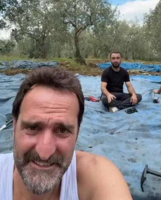 Timur Acar satın aldığı zeytinlikte ilk hasadını yaptı