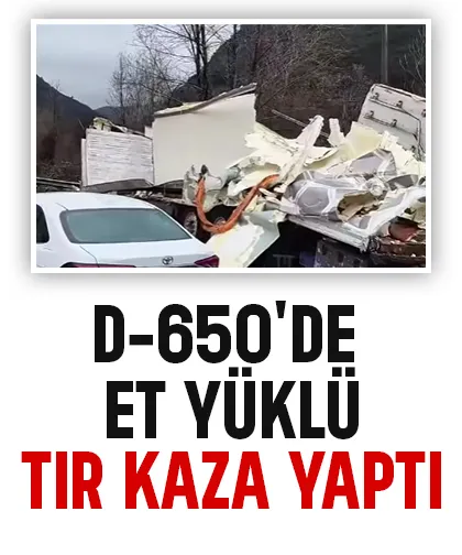 Tır kaza yaptı etler etrafa dağıldı
