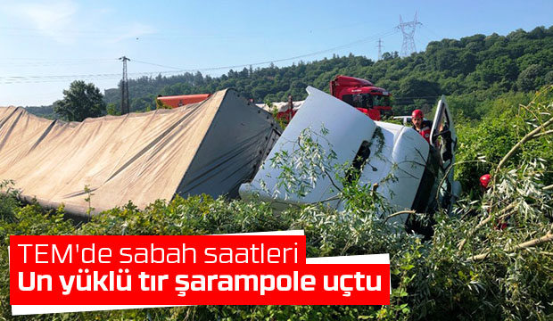 TIR şarampole uçtu