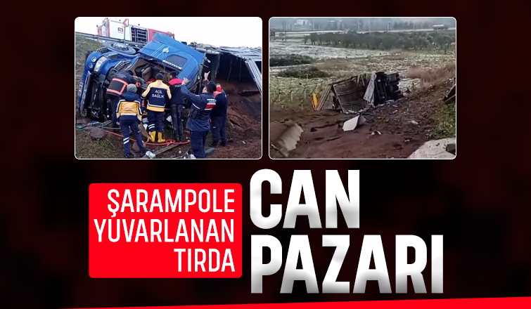 Tır şarampole yuvarlandı