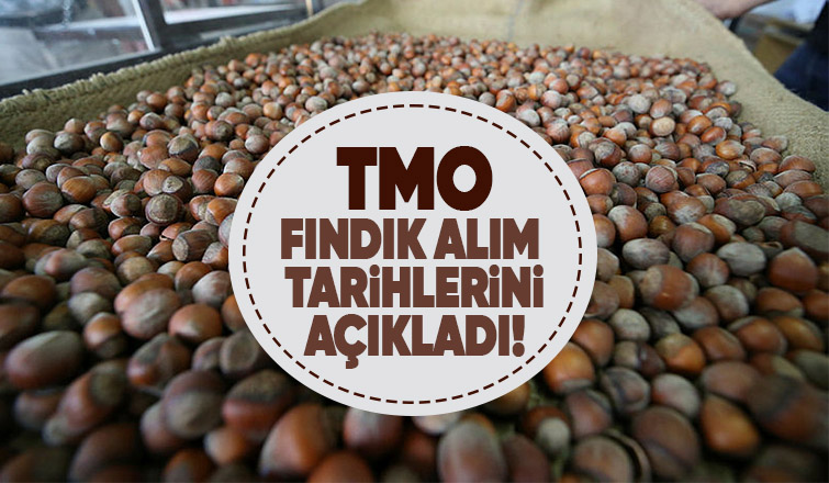 TMO'dan fındık alım açıklaması