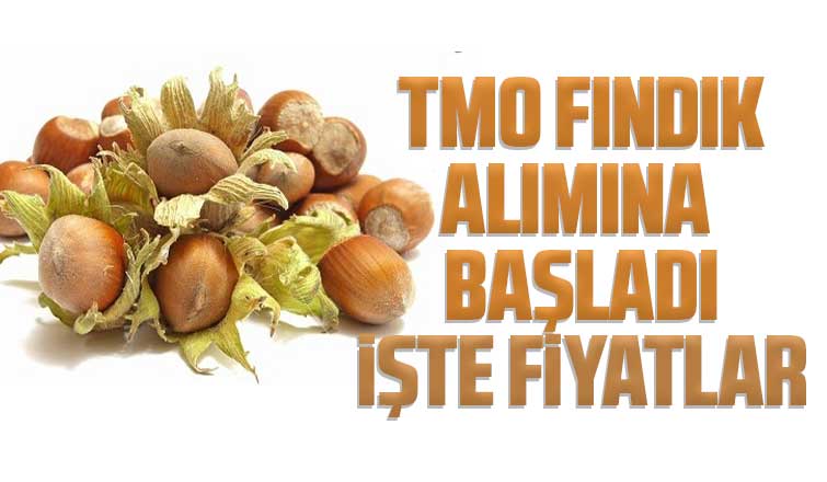 TMO fındık alımına törenle başladı