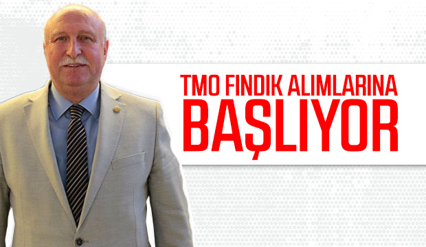 TMO Fındık Alımlarına Başlıyor