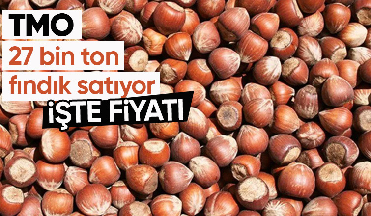 TMO fındık satacak