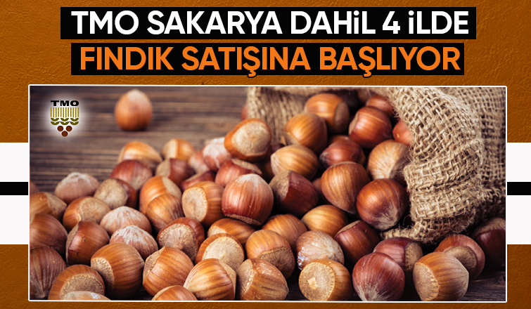 TMO fındık satışına başlıyor İşte fiyatlar