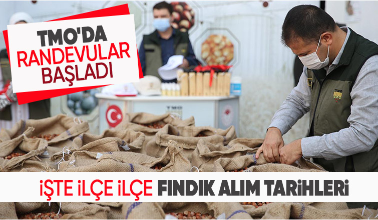 TMO Sakarya'da fındık alım tarihleri ve yerlerini açıkladı