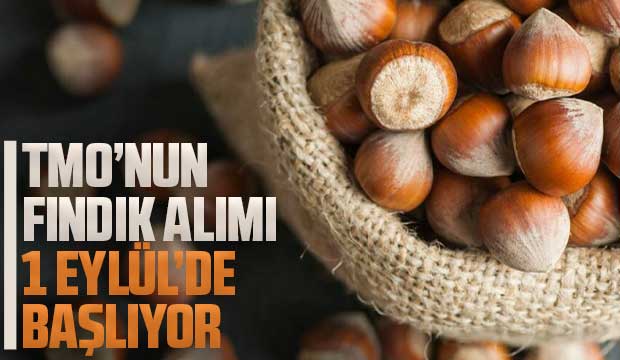 TMO’nun fındık alımları 1 Eylül’de başlıyor