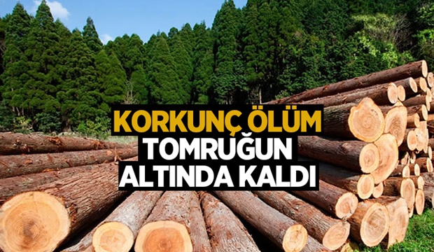 Tomruk altında kalan işçi öldü