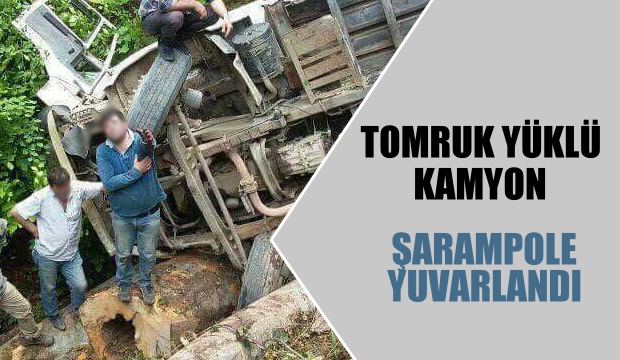 Tomruk Yüklü Kamyon Şarampole Yuvarlandı 
